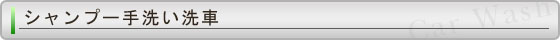 シャンプー手洗い洗車